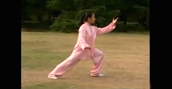 24 Form of Tai Chi Video