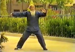 Old style form of Chen Tai Chi
