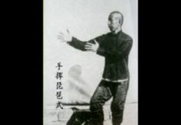 Sun Lu Tang Tai Chi Chuan