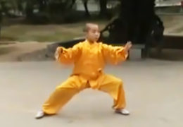 10-Year-Old Performs Chen Tai Chi Chuan