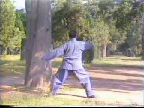 Feng Zhiqiang Performs 48 Chen Form