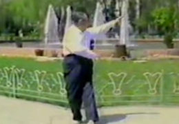 Ma Yueh Liang Performs Wu Style Fast Tai Chi