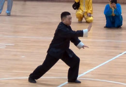 (James) Fu Qing Quan Performs the Yang 28 Form