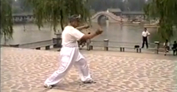 Liu Chengde Performs Yi Lu