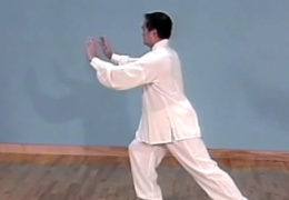 Liang Shou Yu Demonstrates 24 Form Tai Chi