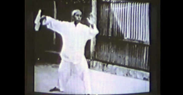 Tung Ying Chieh Performs Yang style Tai Chi Chuan