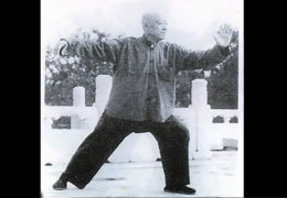 Yang Style Postures of Wang Yongquan