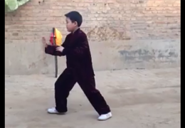8-Year-Old Boy Performs Tung Fast Set Of Tai Chi