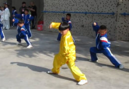 Kids Performing Chen Style Tai Chi Chuan