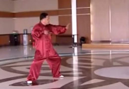 Zhang Qilin Performs Chen 83 Form Tai Chi