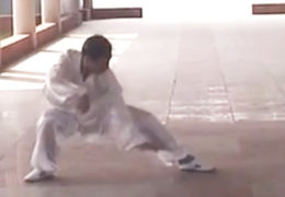 Fu Style Tai Chi Performed By Guo Jincheng