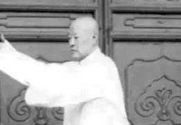 Li Yaxuan Demonstrates Yang Style Tai Chi
